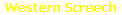 Western Screech